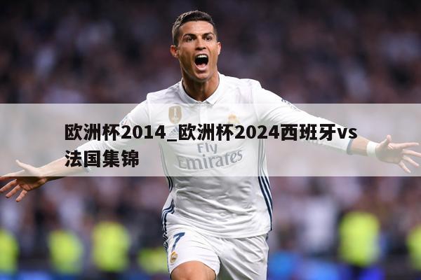 欧洲杯2014_欧洲杯2024西班牙vs法国集锦