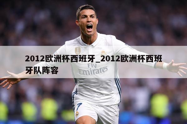 2012欧洲杯西班牙_2012欧洲杯西班牙队阵容